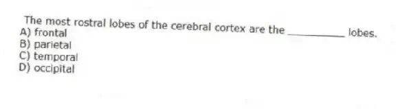 The most rostral lobes of the cerebral cortex are the _________ lobes.
A) frontal
B) parietal
C) temporal
D) occipital