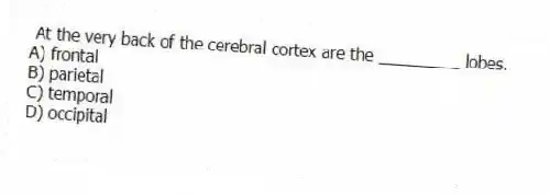 At the very back of the cerebral cortex are the _________ lobes.
A) frontal
B) parietal
C) temporal
D) occipital