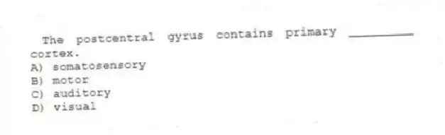 The postcentral gyrus contains primary _________ cortex.
A) somatosensory
B) motor
C) auditory
D) visual