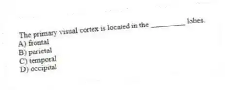 The primary visual cortex is located in the _________ lobes.
A) frontal
B) parietal
C) temporal
D) occipital