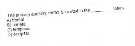 The primary auditory cortex is located in the _________ lobes.
A) frontal
B) parietal
C) temporal
D) occipital