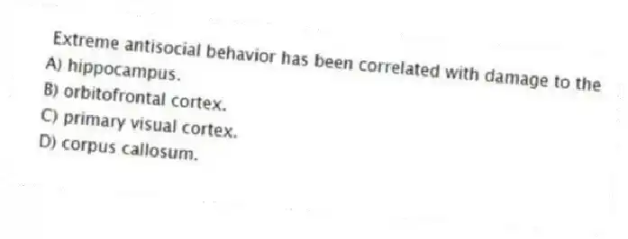 Extreme antisocial behavior has been correlated with damage to the
A) hippocampus.
B) orbitofrontal cortex.
C) primary visual cortex.
D) corpus callosum.