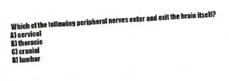 Which of the following peripheral nerves enter and exit the brain itself?
A) cervical
B) thoracic
C) cranial
D) lumbar