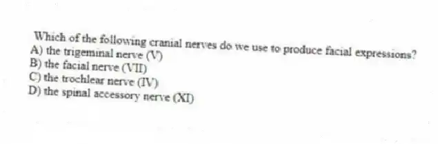 Which of the following cranial nerves do we use to produce facial expressions?
A) the trigeminal nerve (V)
B) the facial nerve (VII)
C) the trochlear nerve (IV)
D) the spinal accessory nerve (XI)