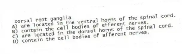Dorsal root ganglia
A) are located in the ventral horns of the spinal cord.
B) contain the cell bodies of efferent nerves.
C) are located in the dorsal horns of the spinal cord.
D) contain the cell bodies of afferent nerves.