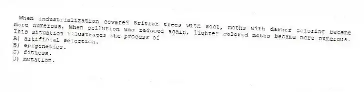 When industrialization covered British trees with soot, moths with darker coloring became more numerous. When pollution was reduced again, lighter colored moths became more numerous. This situation illustrates the process of
A) artificial selection.
B) epigenetics.
C) fitness.
D) mutation.