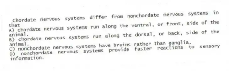 Chordate nervous systems differ from nonchordate nervous systems in that
A) chordate nervous systems run along the ventral, or front, side of the animal.
B) chordate nervous systems run along the dorsal, or back, side of the animal.
C) nonchordate nervous systems have brains rather than ganglia.
D) nonchordate nervous systems provide faster reactions to sensory information.