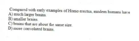 Compared with early examples of Homo erectus, modern humans have
A) much larger brains.
B) smaller brains.
C) brains that are about the same size.
D) more convoluted brains.