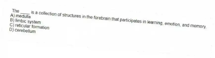The ____ is a collection of structures in the forebrain that participates in learning, emotion, and memory.
A) medulla
B) limbic system
C) reticular formation
D) cerebellum