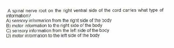 A spinal nerve root on the right ventral side of the cord carries what type of information?
A) sensory information from the right side of the body
B) motor information to the right side of the body
C) sensory information from the left side of the body
D) motor information to the left side of the body