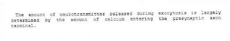 The amount of neurotransmitter released during exocytosis is largely determined by the amount of calcium entering the presynaptic axon terminal.