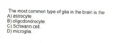 The most common type of glia in the brain is the
A) astrocyte.
B) oligodendrocyte.
C) Schwann cell.
D) microglia.