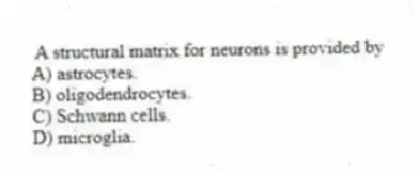 A structural matrix for neurons is provided by
A) astrocytes.
B) oligodendrocytes.
C) Schwann cells.
D) microglia.