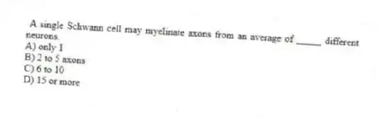 A single Schwann cell may myelinate axons from an average of _____ different neurons.
A) only 1
B) 2 to 5 axons
C) 6 to 10
D) 15 or more