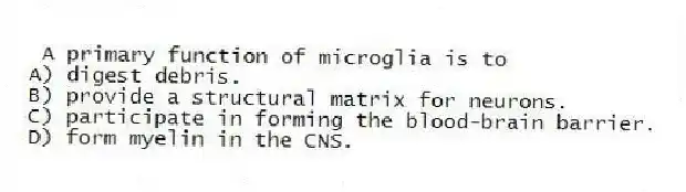 A primary function of microglia is to
A) digest debris.
B) provide a structural matrix for neurons.
C) participate in forming the blood-brain barrier.
D) form myelin in the CNS.