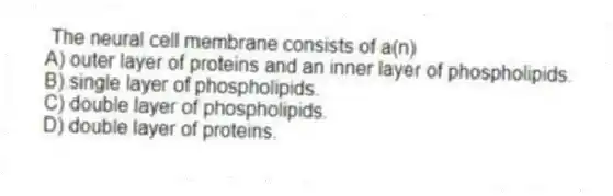 The neural cell membrane consists of a(n)
A) outer layer of proteins and an inner layer of phospholipids.
B) single layer of phospholipids.
C) double layer of phospholipids.
D) double layer of proteins.