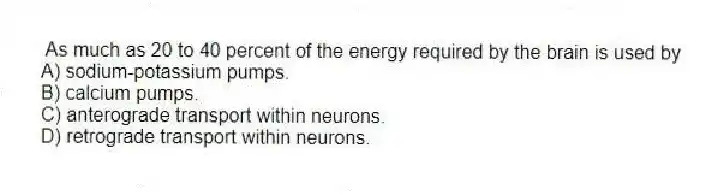 As much as 20 to 40 percent of the energy required by the brain is used by
A) sodium-potassium pumps.
B) calcium pumps.
C) anterograde transport within neurons.
D) retrograde transport within neurons.