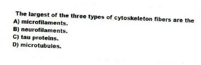 The largest of the three types of cytoskeleton fibers are the
A) microfilaments.
B) neurofilaments.
C) tau proteins.
D) microtubules.