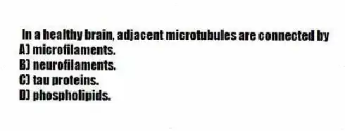 In a healthy brain, adjacent microtubules are connected by
A) microfilaments.
B) neurofilaments.
C) tau proteins.
D) phospholipids.