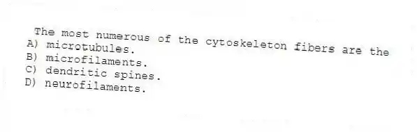 The most numerous of the cytoskeleton fibers are the
A) microtubules.
B) microfilaments.
C) dendritic spines.
D) neurofilaments.