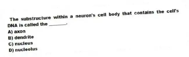 The substructure within a neuron's cell body that contains the cell's DNA is called the ________.
A) axon
B) dendrite
C) nucleus
D) nucleolus
