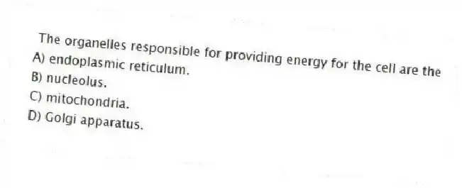 The organelles responsible for providing energy for the cell are the
A) endoplasmic reticulum.
B) nucleolus.
C) mitochondria.
D) Golgi apparatus.