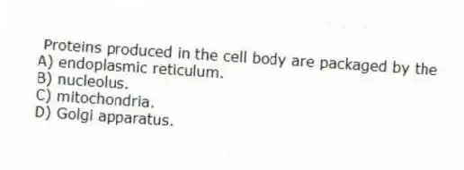 Proteins produced in the cell body are packaged by the
A) endoplasmic reticulum.
B) nucleolus.
C) mitochondria.
D) Golgi apparatus.