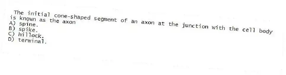  The initial cone-shaped segment of an axon at the junction with the cell body is known as the axon
A) spine.
B) spike.
C) hillock.
D) terminal.