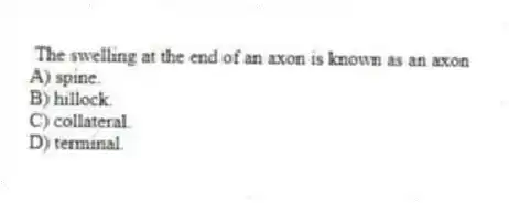 The swelling at the end of an axon is known as an axon
A) spine.
B) hillock.
C) collateral.
D) terminal.