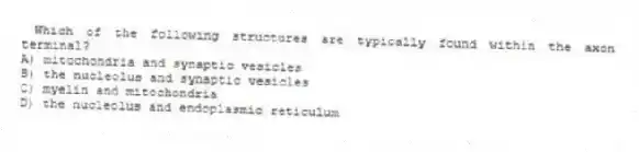 Which of the following structures are typically found within the axon terminal?
A) mitochondria and synaptic vesicles
B) the nucleolus and synaptic vesicles
C) myelin and mitochondria
D) the nucleolus and endoplasmic reticulum