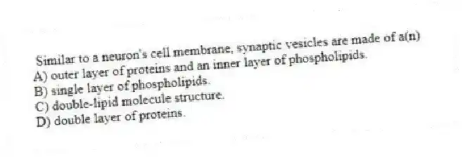 Similar to a neuron's cell membrane, synaptic vesicles are made of a(n)
A) outer layer of proteins and an inner layer of phospholipids.
B) single layer of phospholipids.
C) double-lipid molecule structure.
D) double layer of proteins.