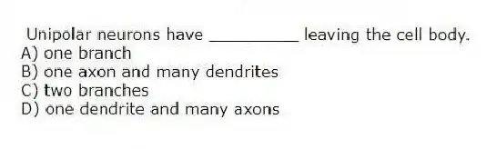  Unipolar neurons have _________ leaving the cell body.
A) one branch
B) one axon and many dendrites
C) two branches
D) one dendrite and many axons