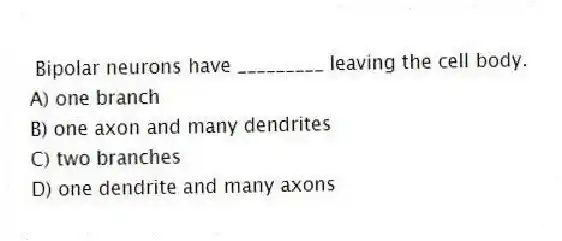  Bipolar neurons have _________ leaving the cell body.
A) one branch
B) one axon and many dendrites
C) two branches
D) one dendrite and many axons