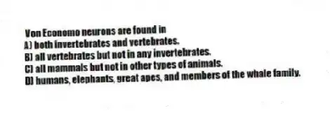 Von Economo neurons are found in
A) both invertebrates and vertebrates.
B) all vertebrates but not in any invertebrates.
C) all mammals but not in other types of animals.
D) humans, elephants, great apes, and members of the whale family.