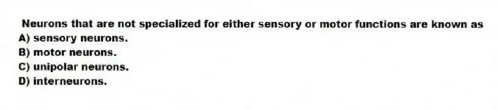 Neurons that are not specialized for either sensory or motor functions are known as
A) sensory neurons.
B) motor neurons.
C) unipolar neurons.
D) interneurons.