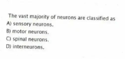 The vast majority of neurons are classified as
A) sensory neurons.
B) motor neurons.
C) spinal neurons.
D) interneurons.