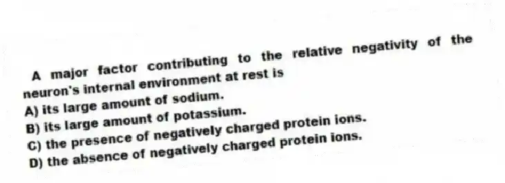 A major factor contributing to the relative negativity of the neuron's internal environment at rest is
A) its large amount of sodium.
B) its large amount of potassium.
C) the presence of negatively charged protein ions.
D) the absence of negatively charged protein ions.