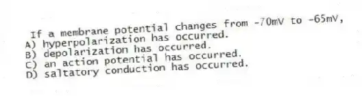 If a membrane potential changes from -70mV to -65mV,
A) hyperpolarization has occurred.
B) depolarization has occurred.
C) an action potential has occurred.
D) saltatory conduction has occurred.