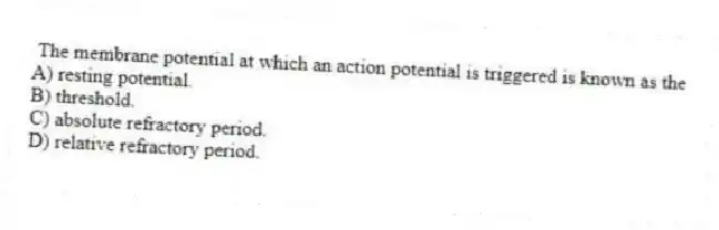 The membrane potential at which an action potential is triggered is known as the
A) resting potential.
B) threshold.
C) absolute refractory period.
D) relative refractory period.