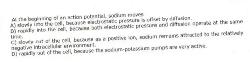 At the beginning of an action potential, sodium moves
A) slowly into the cell, because electrostatic pressure is offset by diffusion.
B) rapidly into the cell, because both electrostatic pressure and diffusion operate at the same time.
C) slowly out of the cell, because as a positive ion, sodium remains attracted to the relatively negative intracellular environment.
D) rapidly out of the cell, because the sodium-potassium pumps are very active.