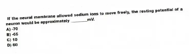If the neural membrane allowed sodium ions to move freely, the resting potential of a neuron would be approximately _________mV.
A) -70
B) -65
C) 10
D) 60