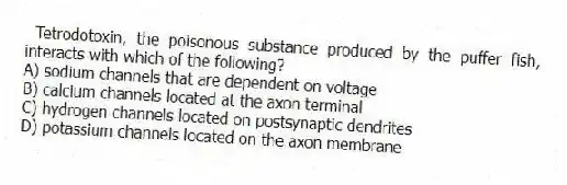 Tetrodotoxin, the poisonous substance produced by the puffer fish, interacts with which of the following?
A) sodium channels that are dependent on voltage
B) calcium channels located at the axon terminal
C) hydrogen channels located on postsynaptic dendrites
D) potassium channels located on the axon membrane
