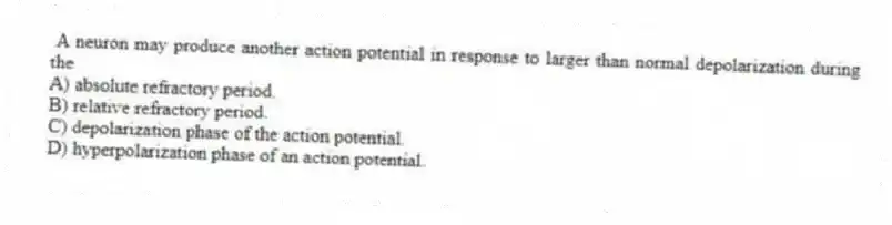 A neuron may produce another action potential in response to larger than normal depolarization during the
A) absolute refractory period.
B) relative refractory period.
C) depolarization phase of the action potential.
D) hyperpolarization phase of an action potential.