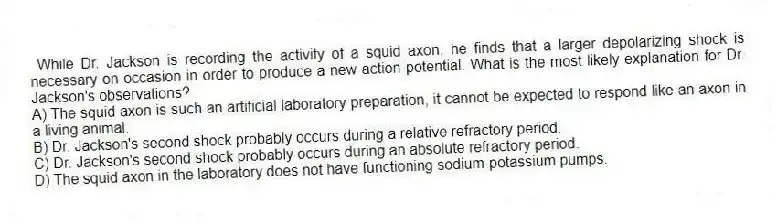  While Dr. Jackson is recording the activity of a squid axon, he finds that a larger depolarizing shock is necessary on occasion in order to produce a new action potential. What is the most likely explanation for Dr. Jackson's observations?
A) The squid axon is such an artificial laboratory preparation, it cannot be expected to respond like an axon in a living animal.
B) Dr. Jackson's second shock probably occurs during a relative refractory period.
C) Dr. Jackson's second shock probably occurs during an absolute refractory period.
D) The squid axon in the laboratory does not have functioning sodium-potassium pumps.