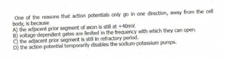  One of the reasons that action potentials only go in one direction, away from the cell body, is because
A) the adjacent prior segment of axon is still at +40mV.
B) voltage-dependent gates are limited in the frequency with which they can open.
C) the adjacent prior segment is still in refractory period.
D) the action potential temporarily disables the sodium-potassium pumps.