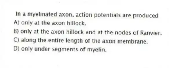 In a myelinated axon, action potentials are produced
A) only at the axon hillock.
B) only at the axon hillock and at the nodes of Ranvier.
C) along the entire length of the axon membrane.
D) only under segments of myelin.