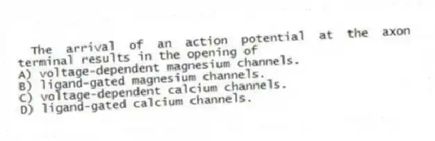 The arrival of an action potential at the axon terminal results in the opening of
A) voltage-dependent magnesium channels.
B) ligand-gated magnesium channels.
C) voltage-dependent calcium channels.
D) ligand-gated calcium channels.