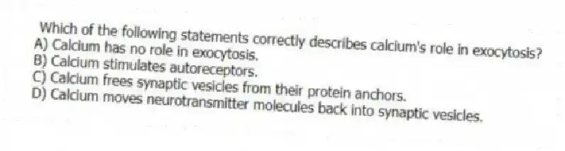 Which of the following statements correctly describes calcium's role in exocytosis?
A) Calcium has no role in exocytosis.
B) Calcium stimulates autoreceptors.
C) Calcium frees synaptic vesicles from their protein anchors.
D) Calcium moves neurotransmitter molecules back into synaptic vesicles.