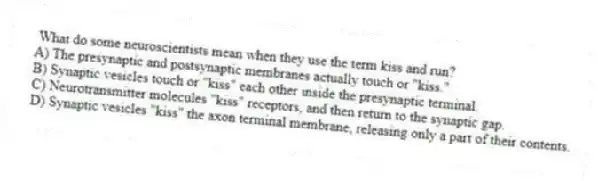  What do some neuroscientists mean when they use the term kiss and run?
A) The presynaptic and postsynaptic membranes actually touch or "kiss."
B) Synaptic vesicles touch or "kiss" each other inside the presynaptic terminal.
C) Neurotransmitter molecules "kiss" receptors, and then return to the synaptic gap.
D) Synaptic vesicles "kiss" the axon terminal membrane, releasing only a part of their contents.