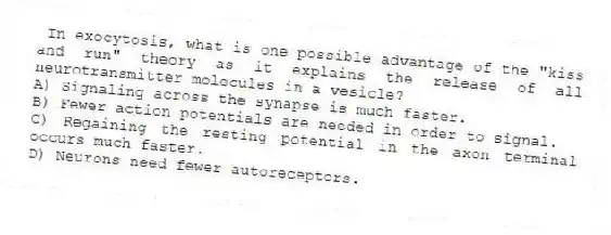 In exocytosis, what is one possible advantage of the "kiss and run" theory as it explains the release of all neurotransmitter molecules in a vesicle?
A) Signaling across the synapse is much faster.
B) Fewer action potentials are needed in order to signal.
C) Regaining the resting potential in the axon terminal occurs much faster.
D) Neurons need fewer autoreceptors.